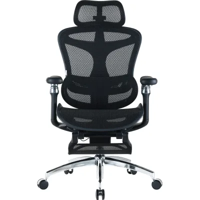 Офісне крісло Sihoo Крісло офісне з підставкою для ніг Sihoo DORO C300 Pro Mesh Black with (DORO-C300-PRO-M101-JT)
