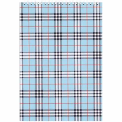Блокнот Buromax spiral top, А5, 48sheets, square, blue (BM.2470-02)