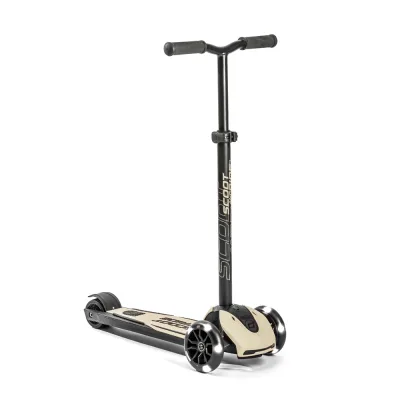 Самокат Scoot&Ride Highwaykick 5 LED Ash (SR-190117-ASH)