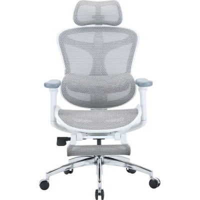 Офісне крісло Sihoo Крісло офісне з підставкою для ніг Sihoo DORO C300L Mesh White with foo (DORO-C300L-A3-102-JT)