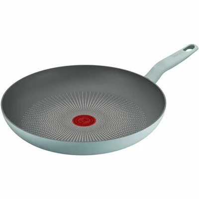 Сковорода Tefal Halo Eucalyptus 30 см (G0160702)