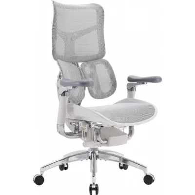 Офісне крісло Sihoo DORO S300 Mesh Light Grey (S300-M202)