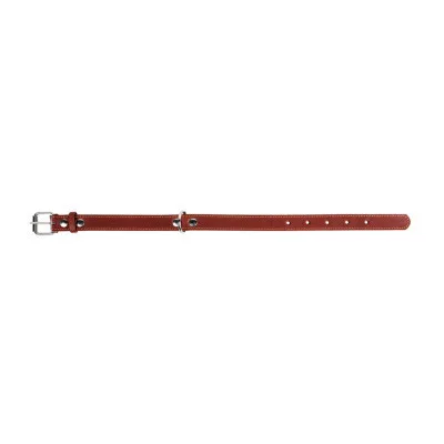 Нашийник для тварин Collar одинарний Ш 25 мм Д 38-50 см коричневий (02196)
