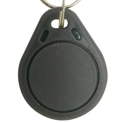Брелок з чіпом Voltronic 125кГц, TK4100, сірий, 20шт. (YT33359)