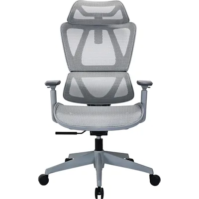 Офісне крісло OfficePro Anvio, OC590G (OC590G)