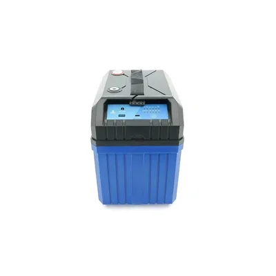 Батарея LiFePo4 Eco-Worthy 12,8V 100Ah, (50/100A) Bluetooth (DC HOUSE-12100B)