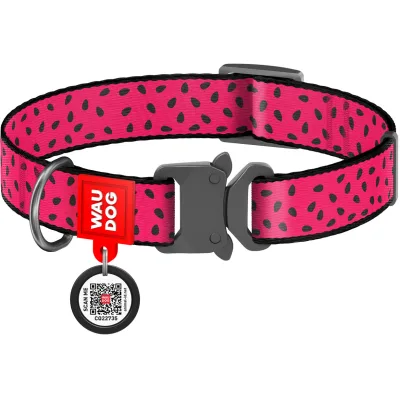 Нашийник для тварин WAUDOG Nylon "Кавун" металічна пряжка-фастекс XL (5150)