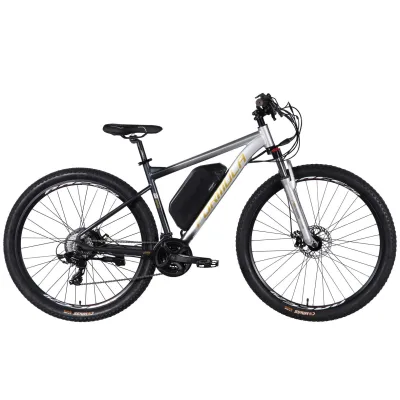 Електровелосипед Formula 29" eF-1 DD CS рама-18,5" 48B 17.5А*г 500Вт 2026 сріблясто-чорний (ELB-FR-29-252)
