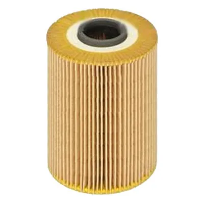 Фільтр масляний Bosch F 026 407 075