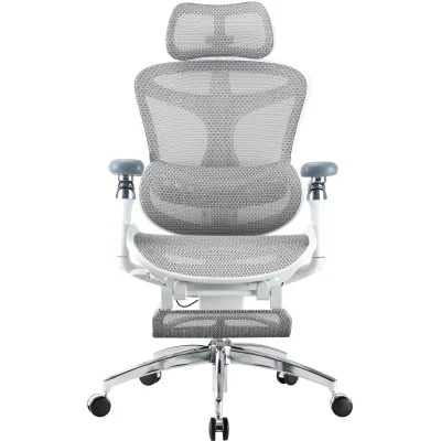 Офісне крісло Sihoo Крісло офісне з підставкою для ніг Sihoo DORO C300 Pro Mesh White with (DORO-C300-PRO-M102-JT)