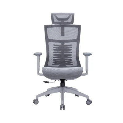 Офісне крісло OfficePro Balance OC620-G-DG-DG (OC620-G-DG-DG)
