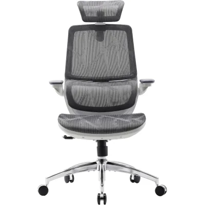 Офісне крісло Sihoo M59AS Mesh Gray (M59AS-M301)