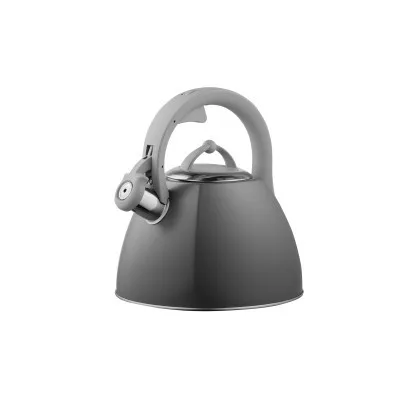 Чайник ARDESTO Gemini 2.5 л Grey (AR1947KB)