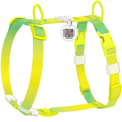 Шлея для собак WAUDOG H-подібна анатомічна Nylon Recycled з QR-паспортом, градієнт, пластиковий фастекс XS салатова (47555)
