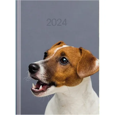 Тижневик Economix датований 2024 COLOR, А5 (E21841)