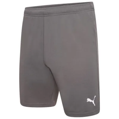 Шорти Puma teamRISE Short 704942-13 сірий M (4063699212051)