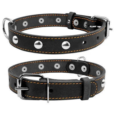 Нашийник для тварин Collar одинарний з прикрасами Ш 25 мм Д 38-50 см чорний (02231)