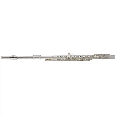 Флейта Maxtone TFC53N/1