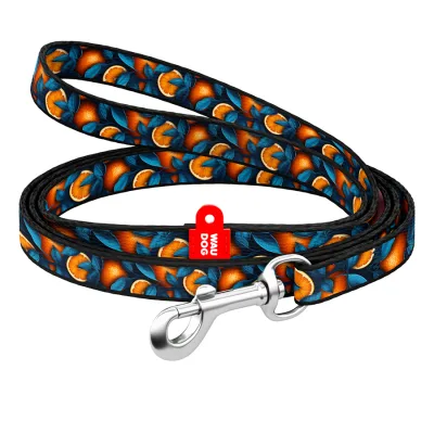 Повідець для котів WAUDOG Nylon "Апельсини" Ш 10 мм Д 122 см (369-4054)