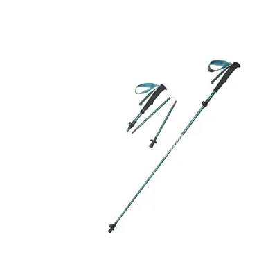 Трекінгова палиця Naturehike CNK2450DS013, 103-120 см, зелена