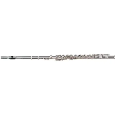 Флейта Maxtone TFC60N