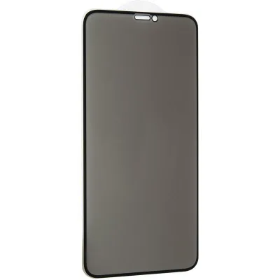 Скло захисне Gelius Pro 5D Privasy Glass for iPhone XS Max Black (00000070959)