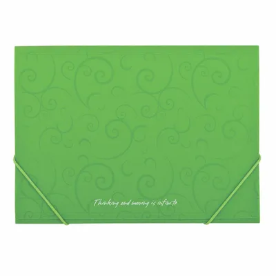 Папка на резинках Buromax А4, BAROCCO, light green (BM.3914-15)
