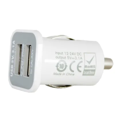Зарядний пристрій PowerPlant 2*USB, 3.1A (DV00DV5036)