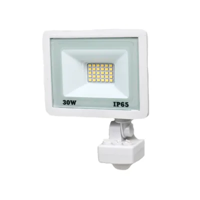Прожектор Lightwell LW-FL-W-30-S 30 W з датчиком руху