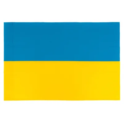 Прапор Vinga Україна, державний, 60*90см (VFUS090G)