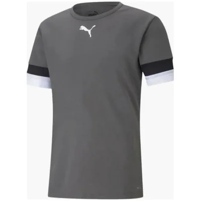 Футболка Puma teamRISE Jersey 704932-13 сірий XL (4063699213300)