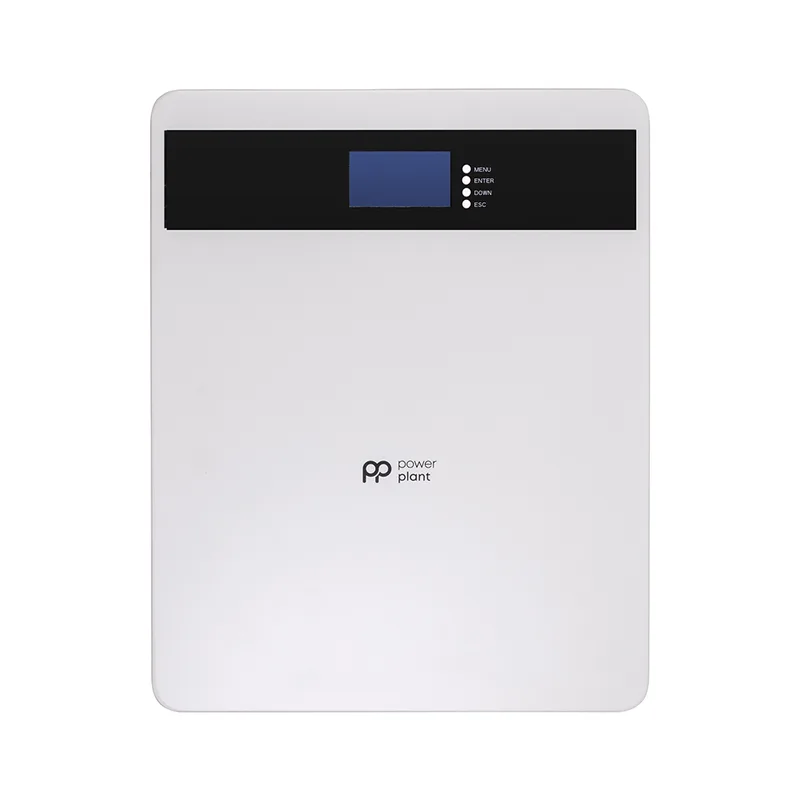 Батарея LiFePo4 PowerPlant 25.6V 100Ah 2560Wh (NV823185)