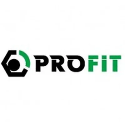 Повітряний фільтр для автомобіля Profit 1512-4273