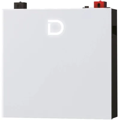 Батарея LiFePo4 Dyness DL5.0C Pro 51.2V - 100Ah (DL5.0C Pro)