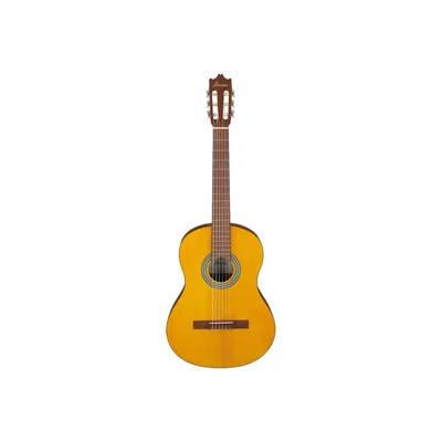 Гітара класична Ibanez GA3-OAM (236053)