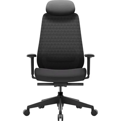 Офісне крісло OfficePro Omnis, OC640B (OC640B)