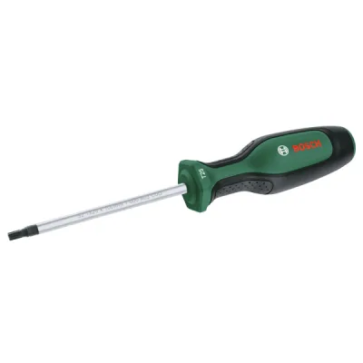 Викрутка Bosch Torx, TX25×100mm (1.600.A03.DT5)