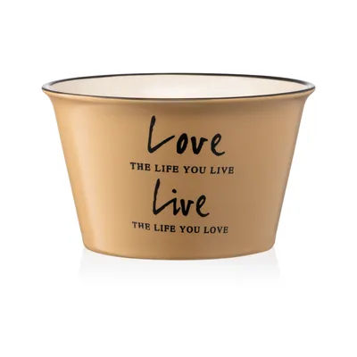 Бульйонниця Ardesto Way of Life 550 мл Beige (AR3479OL)