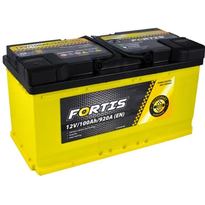 Акумулятор автомобільний FORTIS 100 Ah/12V Euro (FRT100-00)