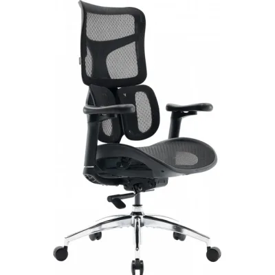 Офісне крісло Sihoo DORO S100 Mesh Black (S100-M301)