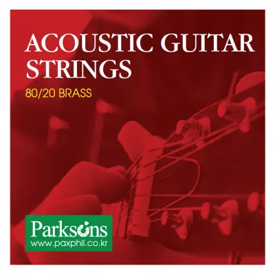 Струни для гітари Parksons Acoustic L (12-52) (S1252)