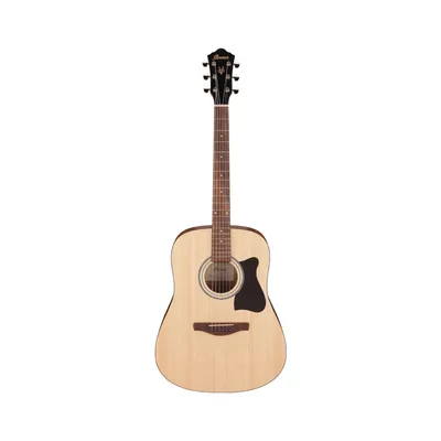 Гітара акустична Ibanez V40-OPN (236049)