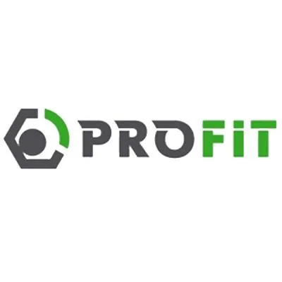 Повітряний фільтр для автомобіля Profit 1512-4134