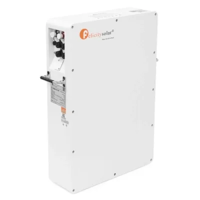 Батарея LiFePo4 FelicityESS 48V 100Ah 5.12kW (LPBA48100-OL)