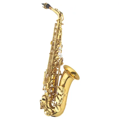 Саксофон J.Michael Alto Saxophone (AL-780L(S))