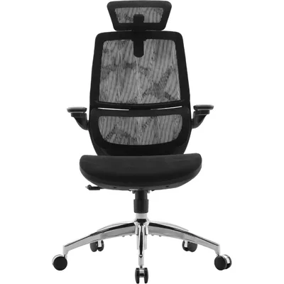 Офісне крісло Sihoo M59AS Mesh Black (M59AS-M302)