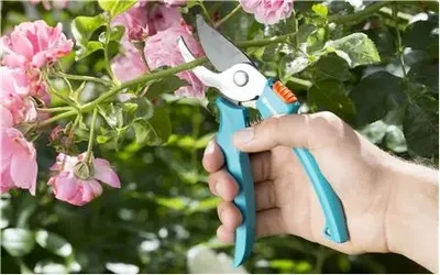 Набір інструментів Gardena садових Classic Ergo (арт.8950, 8754, 11511) з ковшем (08966-30.000.00)