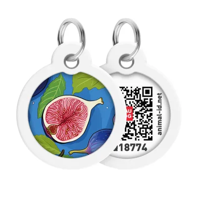 Адресник для тварин WAUDOG Smart ID з QR паспортом "Інжир", коло 30 мм (230-4053)