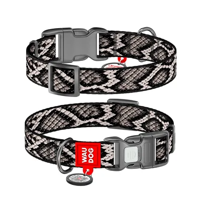 Нашийник для тварин WAUDOG Nylon з QR адресником "Змія" пластиковий фастекс XXL (284-0292)