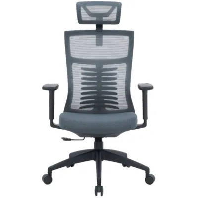 Офісне крісло OfficePro Balance OC550-B-DG-DG (OC550-B-DG-DG)